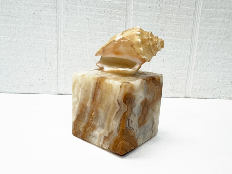 Onyx cube paperweight with conch shell topper
